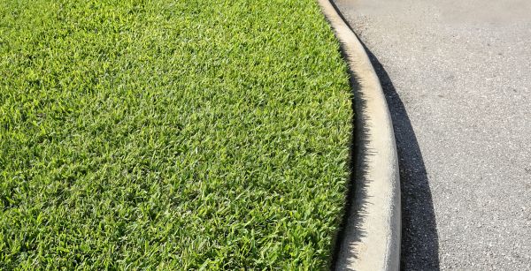 Driveway Curb Repair in Fort Collins