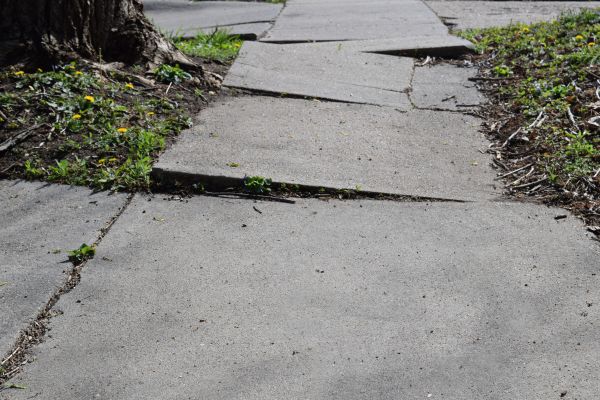 Sidewalk Trip Repair in Fort Collins